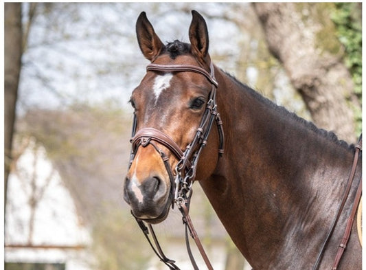 Bride Megève noisette