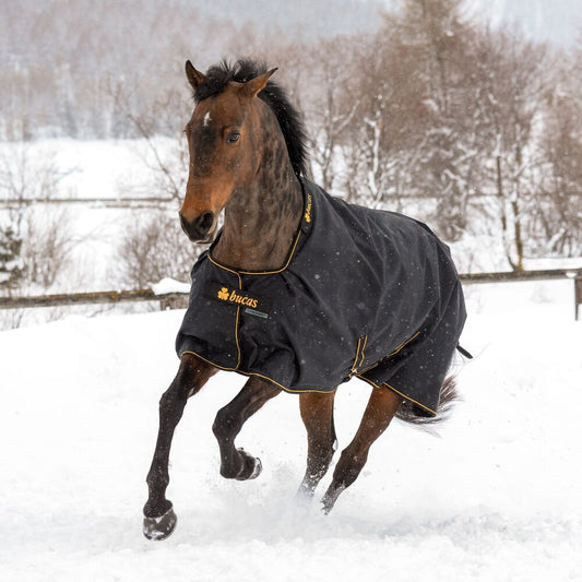 Irish Turnout 100 black/gold