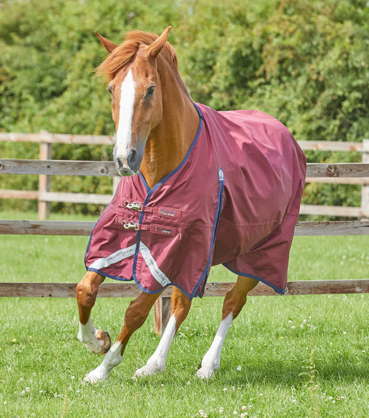 Buster zero turnout rug
