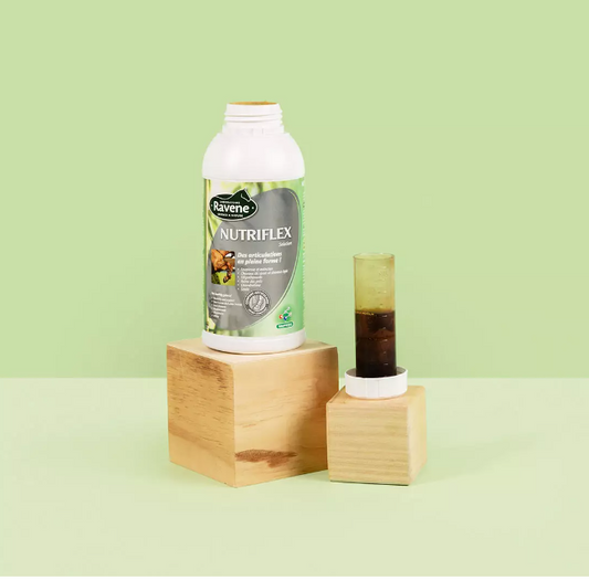 Nutriflex 500 ml