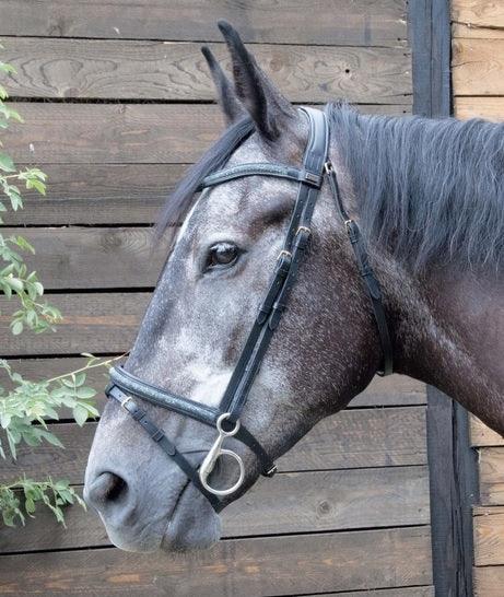 Bridon Guardi noir