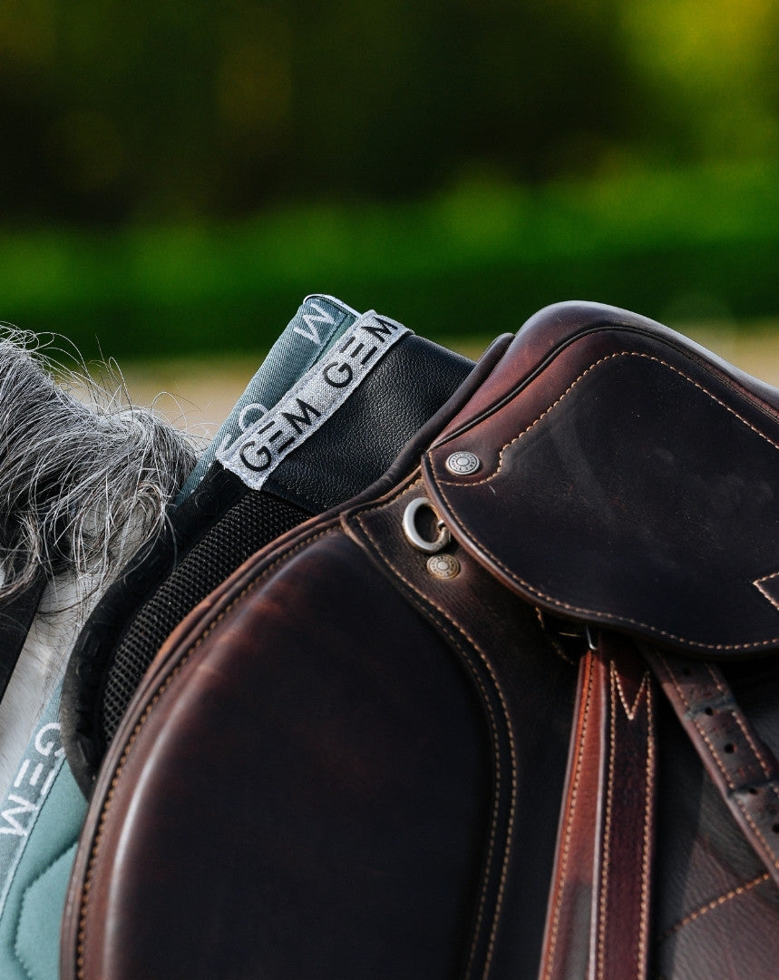 Amortisseur Oscar Gem