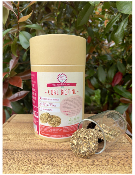 Happy crackers Biotine