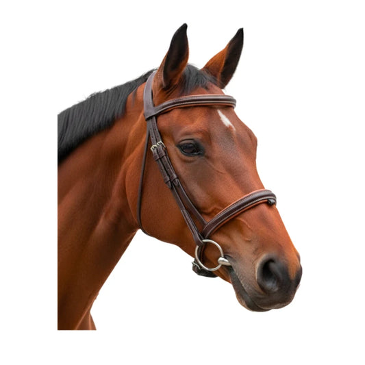 Bridon Canter Vagabond marron
