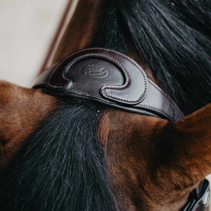 Bridon origin evolution muserolle combinée havane