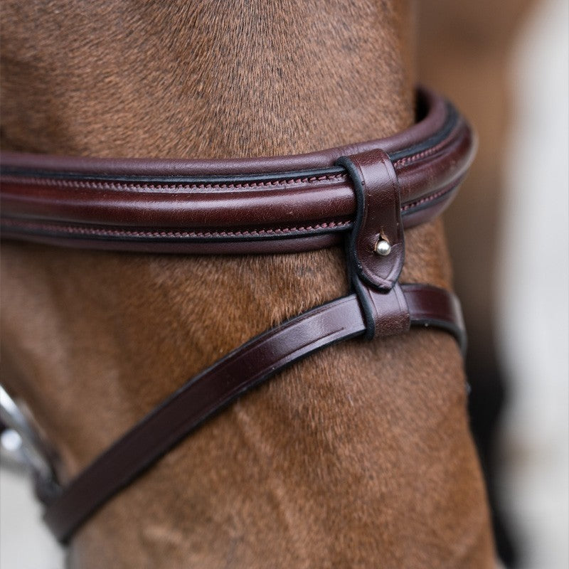 Bridon origin evolution muserolle combinée havane