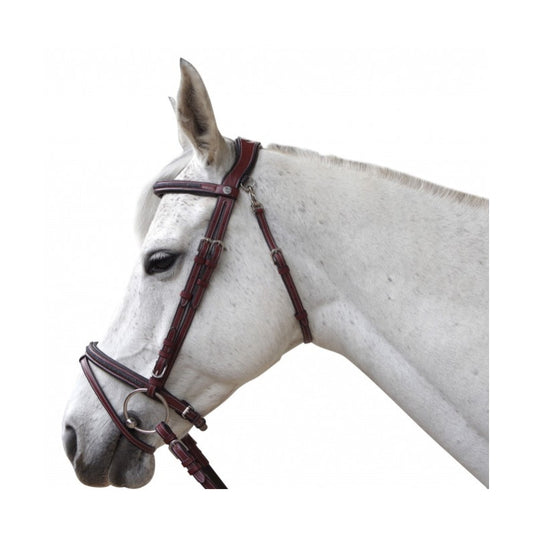 Bridon Flags&Cup Aachen marron / argent