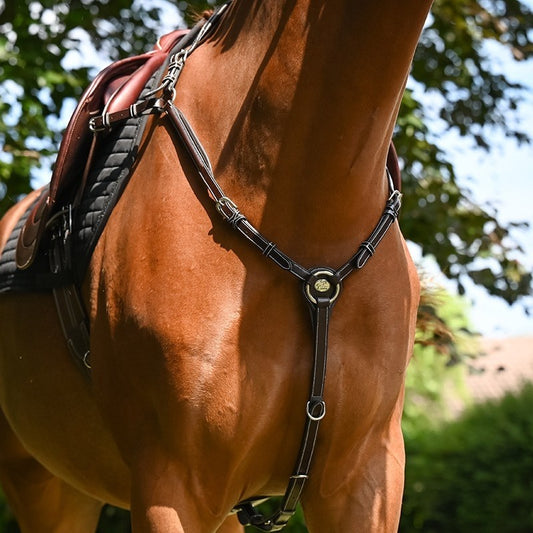Collier de chasse Wednesday Jump'in havane