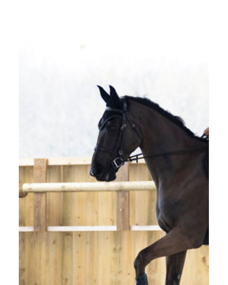 Bonnet cheval Proconfort Dona