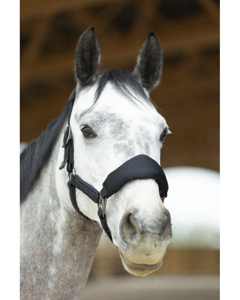 Set licol Dorai ergonomique en mesh noir