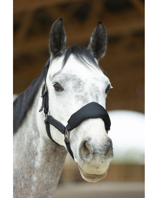 Set licol Dorai ergonomique en mesh noir