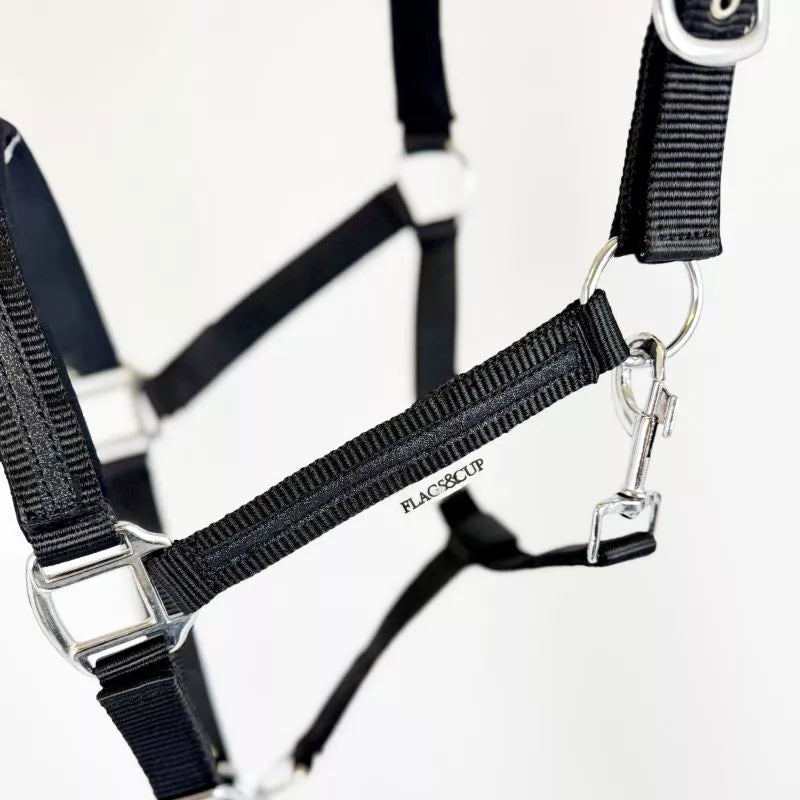 Set licol et longe Atamik F&C cheval