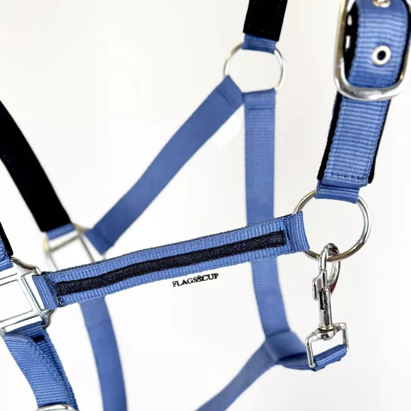 Set licol et longe Atamik F&C poney