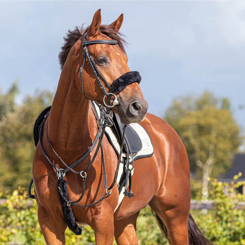Fourrure de martingale