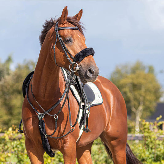 Fourrure de martingale