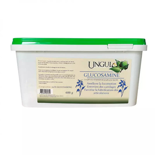 Glucosamine 600g
