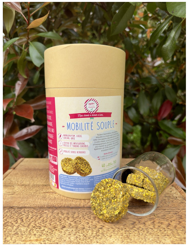 Happy crackers mobilité souple