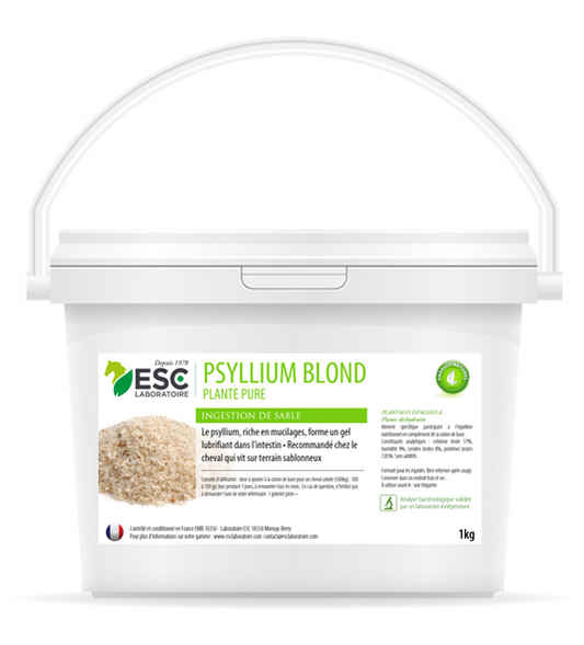 Psyllium blond