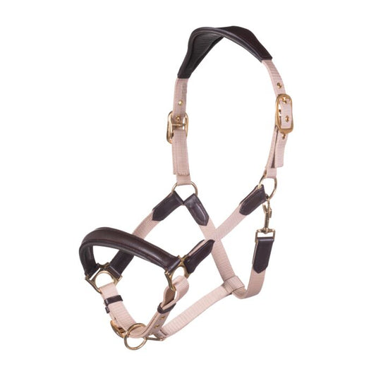 Licol cuir nylon Marrakesh vanille