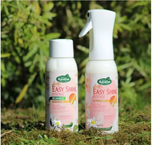 Easy shine intense recharge 500ml