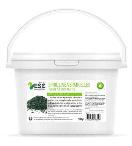 Spiruline vermicelles ESC laboratoire 500g