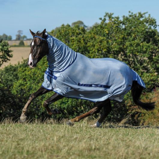 Chemise Bucas Buzz off & neck