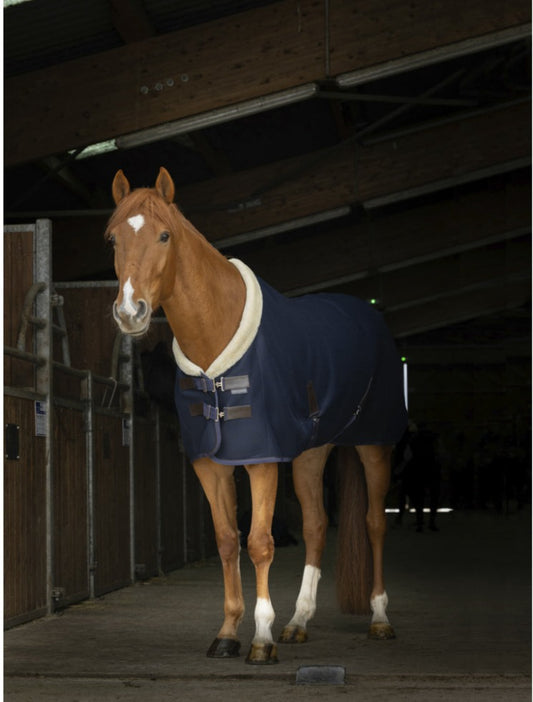 Chemise mesh Teddy Equitheme