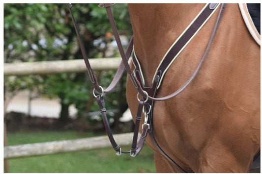 Collier de chasse élastique et martingale noisette
