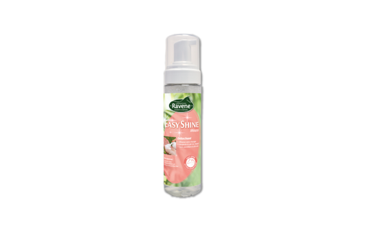 Easy shine mouss 200ml