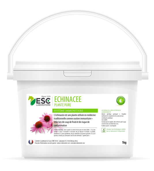 Echinacée plante pure ESC laboratoire