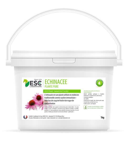 Echinacée plante pure ESC laboratoire