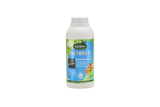 Nutrilyte solution 500ml Ravene