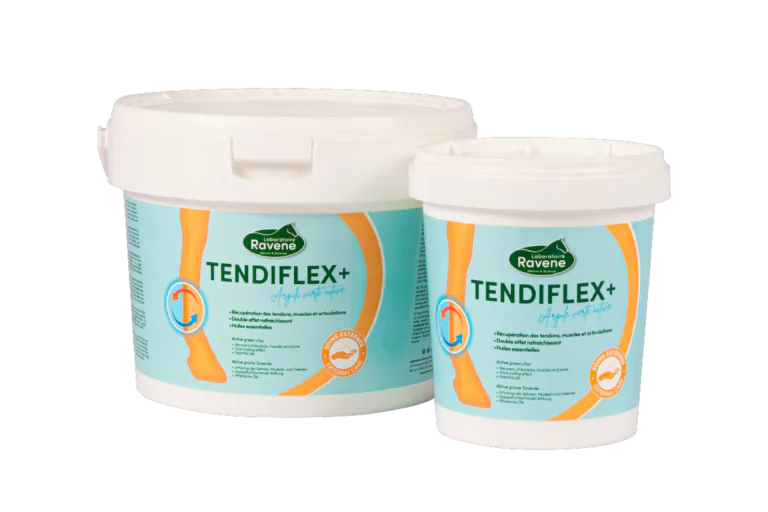 Argile Tendiflex + 1,5kg