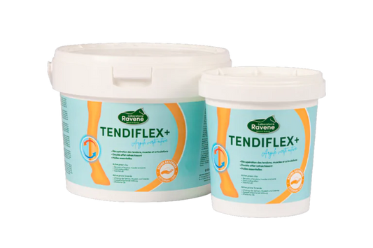 Argile Tendiflex + 1,5kg